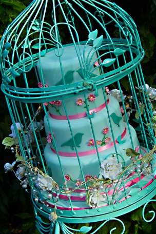 Bird themed cake in a birdcage